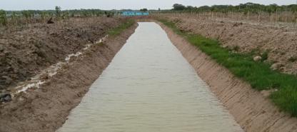 পুকুরে মাছ চাষ